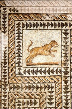 Mosaico rinvenuto sotto S.Giovanni in Conca