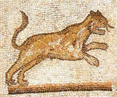 Mosaico rinvenuto sotto S.Giovanni in Conca (particolare)