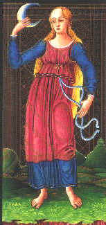 Antonio da Cicognara, Carta della Luna nel mazzo Colleoni