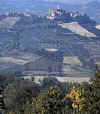 Monforte 